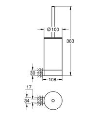 Grohe Selection pakabinamas tualeto šepetys 41076GN0 kaina ir informacija | Vonios kambario aksesuarai | pigu.lt