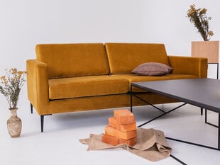 2 sėdimų vietų sofa VERGAN - passion fruit (rv41), juoda kaina ir informacija | Sofos | pigu.lt