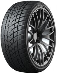 GT Radial Winterpro2 Sport 225/50R18 99 H XL kaina ir informacija | Žieminės padangos | pigu.lt