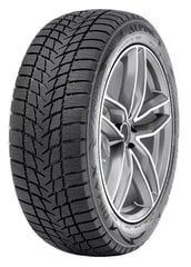 Radar Dimax Alpine 195/55R16 91 H FR цена и информация | Зимняя резина | pigu.lt