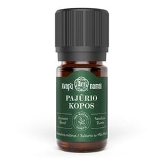 PAJŪRIO KOPOS natūralus aromatinis mišinys 5 ml цена и информация | Эфирные, косметические масла, гидролаты | pigu.lt