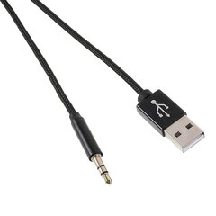 Žaibo iki 3,5 mm + USB įkrovimo garso AUX adapterio laidas, skirtas iPhone iPad kaina ir informacija | Elementų krovikliai | pigu.lt