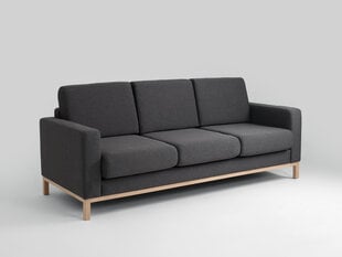 3 sėdimų vietų sofa-lova SCANDIC, anglis (et95), natūrali kaina ir informacija | Sofos | pigu.lt