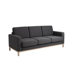 3 sėdimų vietų sofa-lova SCANDIC, anglis (et95), natūrali kaina ir informacija | Sofos | pigu.lt