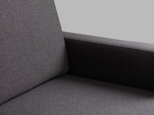 3 sėdimų vietų sofa-lova SCANDIC, Carbon (et95), natūrali apdaila kaina ir informacija | Sofos | pigu.lt