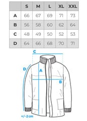 Striukė vyrams OMBRE OM-JALP-0140 Pereinamojo, Bomber kaina ir informacija | Vyriškos striukės | pigu.lt