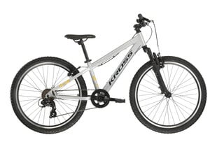 KROSS Dust JR 1.0 gry-bla g vaikiškas kalnų (MTB) dviratis (24") - S dydis цена и информация | Велосипеды | pigu.lt