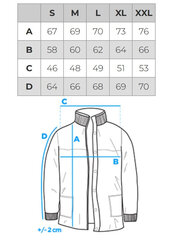 Striukė vyrams OMBRE OM-JALP-0141 Pereinamojo, Bomber kaina ir informacija | Vyriškos striukės | pigu.lt