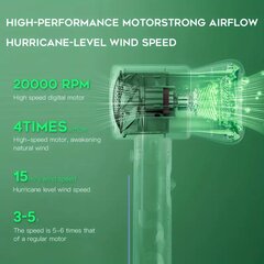 200W Didelės Galios Mėlynos Šviesos Plaukų Džiovintuvas su Perkaitimo ir Nuotėkio Apsauga - Mažas Triukšmas kaina ir informacija | Plaukų džiovintuvai | pigu.lt