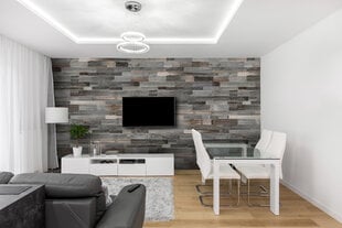 Панели для отделки стен - Wooden Wall Design - Silver Lite цена и информация | Элементы декора для стен, потолка | pigu.lt