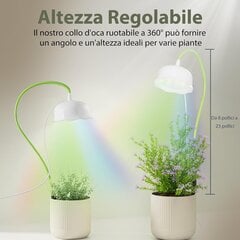 LED fitolampas Diivoo GL13M kaina ir informacija | Daigyklos, lempos augalams | pigu.lt