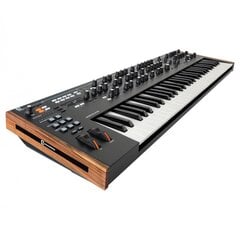 Novation Summit 16-uoju polifoninis sintezatorius kaina ir informacija | Klavišiniai muzikos instrumentai | pigu.lt