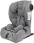 Automobilinė kėdutė Summer Baby Molto i-Size Isofix, 9-36 kg, Grey цена и информация | Autokėdutės | pigu.lt