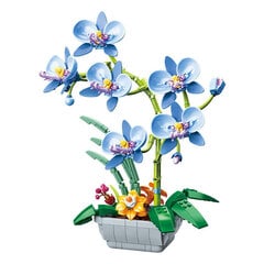 „Pasidaryk pats“ statybinis blokas Orchidėja Phalaenopsis Puokštė vazonėlyje Kūrybiška nemirtinga gėlė Modelis Dekoras Vaikų statybinis žaislas Šventinė dovana kaina ir informacija | Dėlionės (puzzle) | pigu.lt