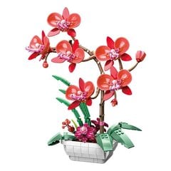 „Pasidaryk pats“ statybinis blokas Orchidėja Phalaenopsis Puokštė vazonėlyje Kūrybiška nemirtinga gėlė Modelis Dekoras Vaikų statybinis žaislas Šventinė dovana kaina ir informacija | Dėlionės (puzzle) | pigu.lt