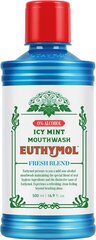 EUTHYMOL burnos skalavimo skystis "Icy Mint", 500ml цена и информация | Зубные щетки, пасты | pigu.lt