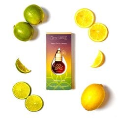 LEMON & LIME automobilio kvapas 8ml 55g цена и информация | Освежители воздуха для салона | pigu.lt