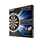 Taikinys Winmau Diamond Plus kaina ir informacija | Smiginis | pigu.lt