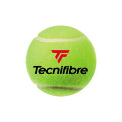 Lauko teniso kamuoliukai Tecnifibre X-ONE, 4 kamuoliukai kaina ir informacija | Lauko teniso prekės | pigu.lt