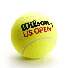 Уличные теннисные мячи Wilson US Open цена и информация | Товары для большого тенниса | pigu.lt