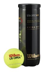 Уличные теннисные мячи Wilson US Open цена и информация | Товары для большого тенниса | pigu.lt