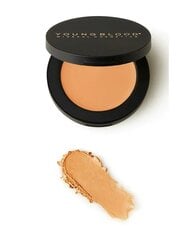 YOUNGBLOOD Ultimate Concealer Tan Neutral 2,8 г цена и информация | Бронзеры (бронзаторы), румяна | pigu.lt