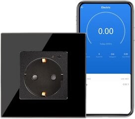 Išmanioji rozetė Cnbingo DE-So-WiFi-JL-1S-Bl-1P kaina ir informacija | Elektros jungikliai, rozetės | pigu.lt
