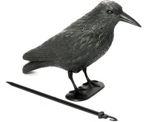 Dekoratyvinė varna paukščiams baidyti Raven, 1 vnt. kaina ir informacija | Sodo dekoracijos | pigu.lt