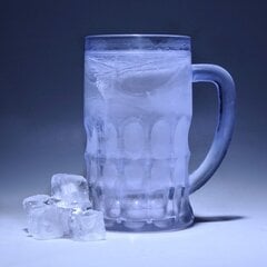 Ledinis alaus bokalas iš akrilo, 600 ml. kaina ir informacija | Originalūs puodeliai | pigu.lt
