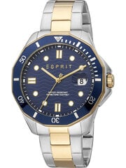 Мужские часы Esprit Kale, серебристо-золотистые TY30203 цена и информация | Мужские часы | pigu.lt