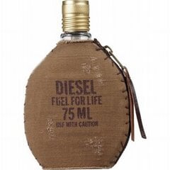 Tualetinis vanduo Diesel Fuel For Life EDT vyrams 75 ml kaina ir informacija | Kvepalai vyrams | pigu.lt