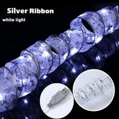 (2MSilver USB modelis) Juostelė Fairy Light dų puošmena dų eglutės papuošalai namams 2023 dų šviesos stygos Navidad Natal Naujieji 2024 metai цена и информация | Рождественские украшения | pigu.lt