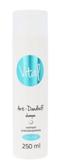 Stapiz Vital Anti-Dandruff Shampoo шампунь 250 мл цена и информация | Шампуни | pigu.lt