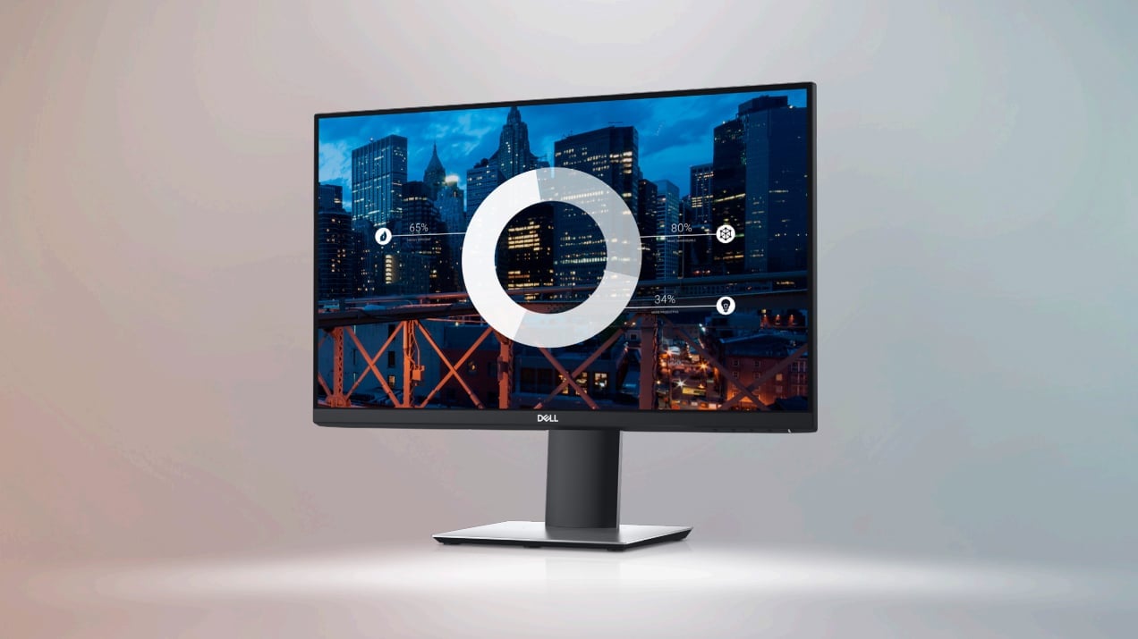 Dell P2419H по интернету