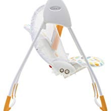 Baby Delight Swing