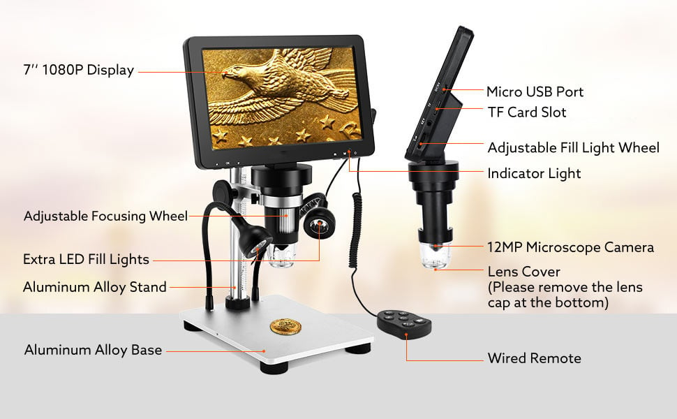 Introduction to the functional parts of the microscope