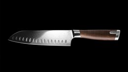 Catler - DMS Santoku Knife