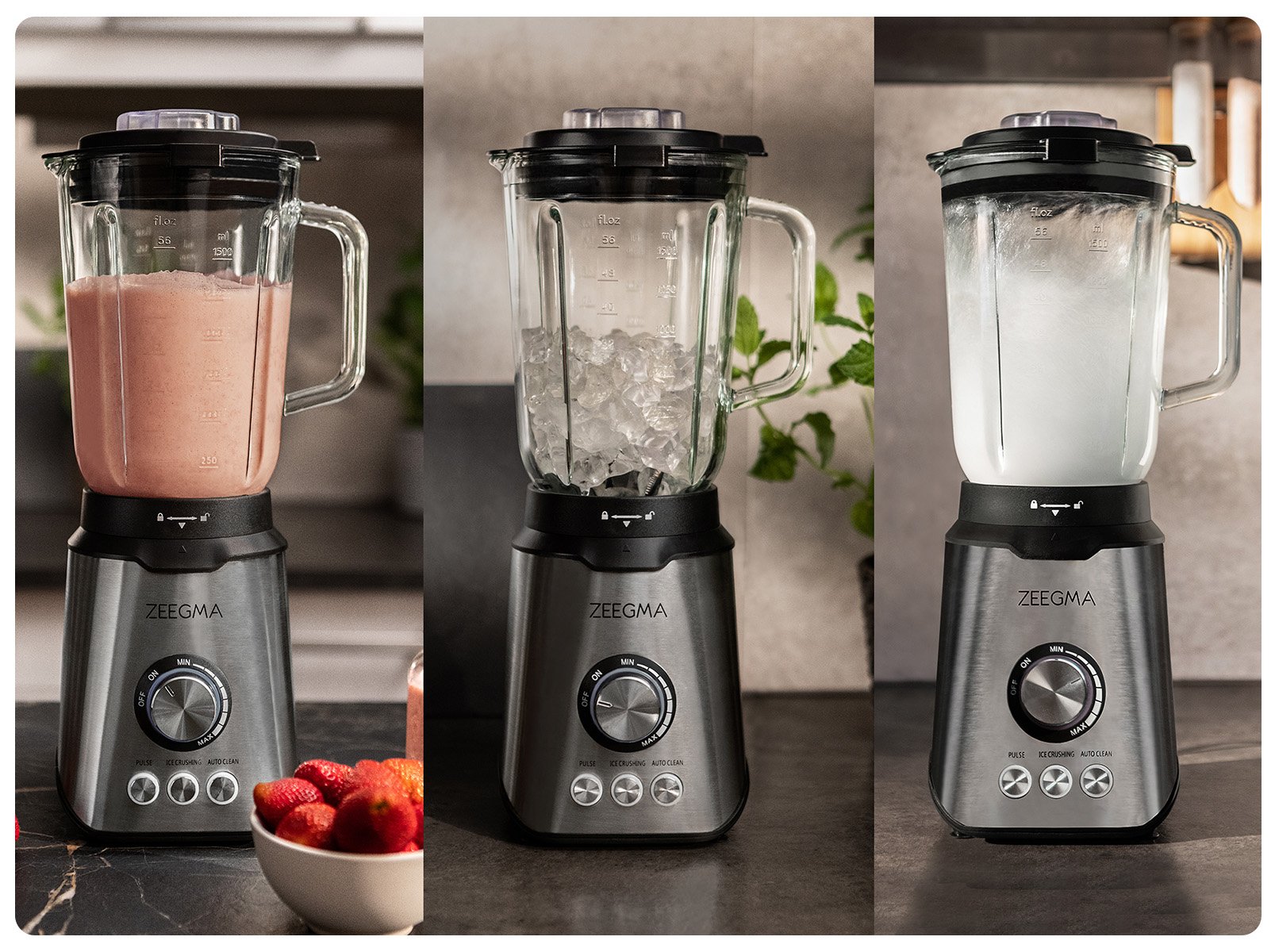 Zeegma Grand Vitamine — countertop blender 