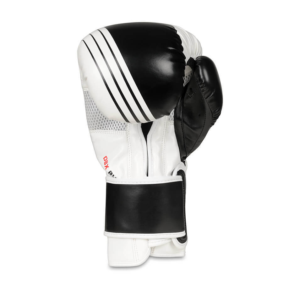 boxing gloves 10 oz