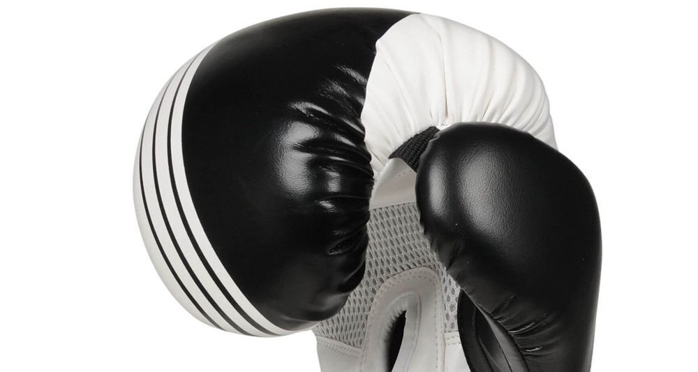 boxing gloves 12 oz