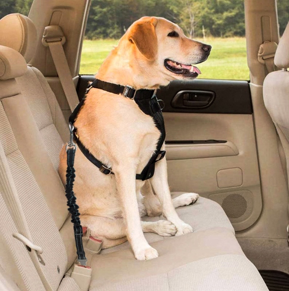 Saugos diržai šunims Automobilinis pavadėlis XXL Gaminio svoris su atskira pakuote 0,103 kg