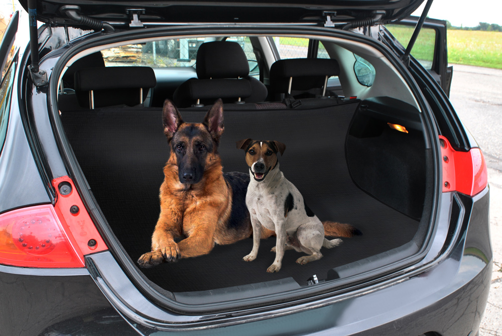 „Iso Trade“ prekės ženklo šunų automobilio sėdynės užvalkalas
