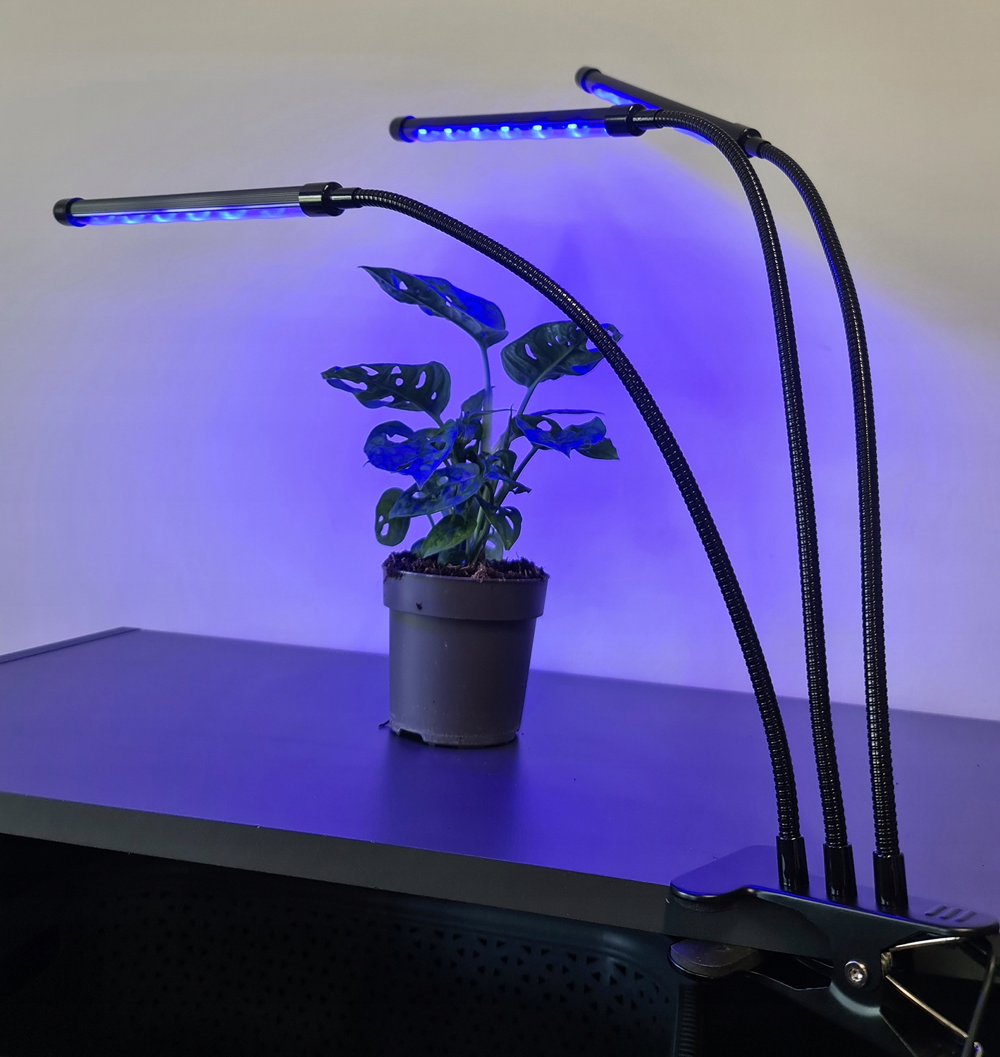 3 x Plant Grow Lamp 60 LED laikmatis + nuotolinio valdymo pultas Ilgis 68 cm