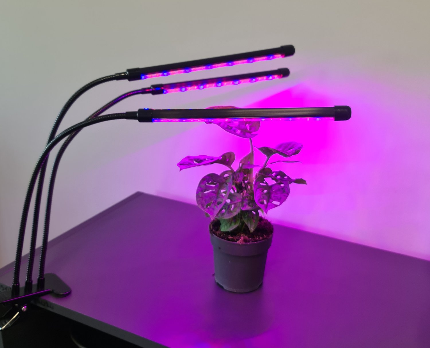 3 x lempa augalų augimui 60 LED laikmatis + nuotolinio valdymo pultas Apšvietimo LED skydelio tipas