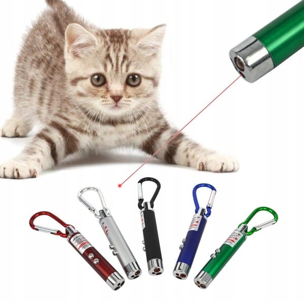 LASER LASER POINT DEKLIKLIS ŽAISLINIS CAT 2IN1 Prekinis pavadinimas lazerinis žibintuvėlis