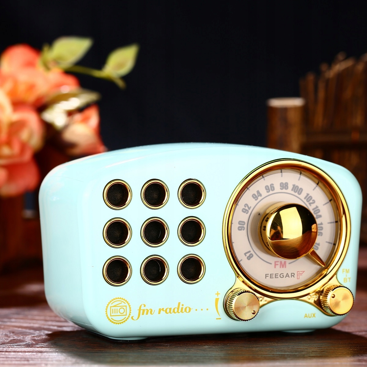 Feegar RETRO Kitchen FM-радио Bluetooth Винтажное радио FM