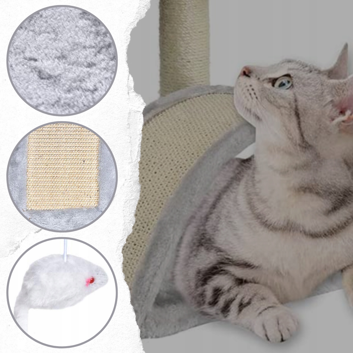 CAT SCRATCRATOR HOUSE LEGENDA POSTAS + ŽAISLAS Skirtas kačiukams kačių šeimoms