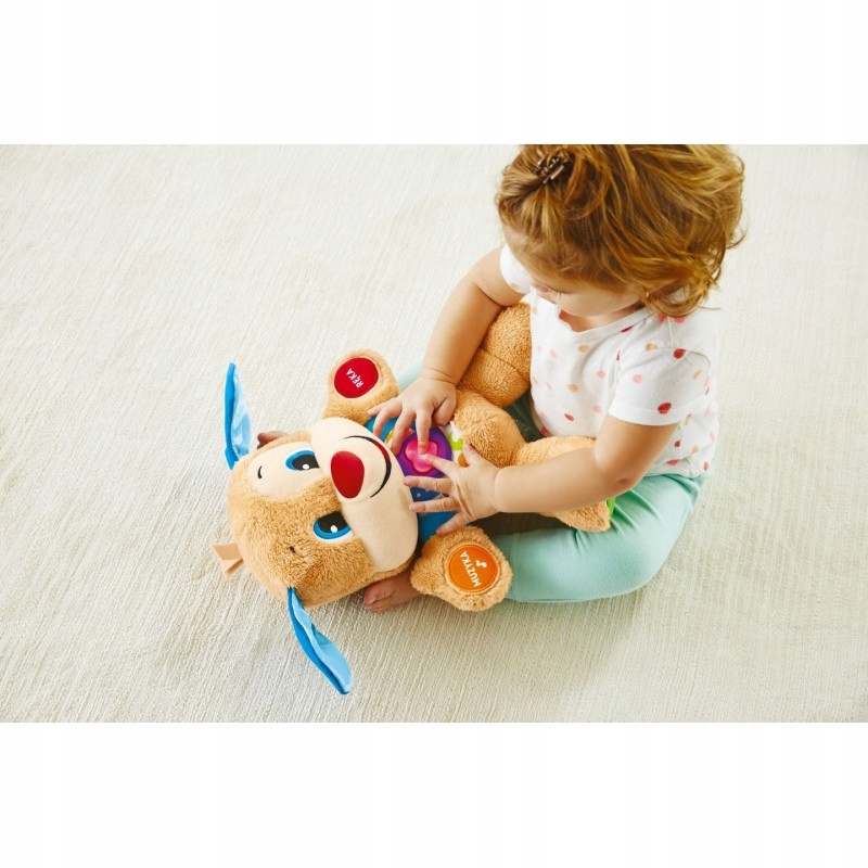 Fisher-Price šuniuko mokinys FPM71 herojus nėra