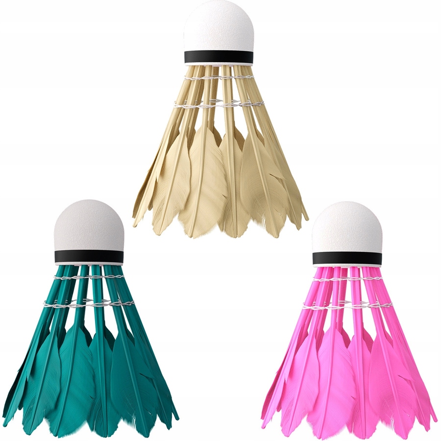 NILS rinkinys iš 2 rakečių dangtelyje + 6 plunksnų raketės badmintono žaidimui Rinkinio dangtelio rakečių komplekto komponentai