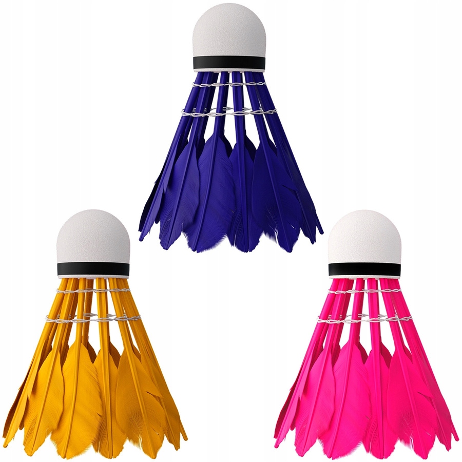 NILS rinkinys iš 4 rakečių dėkle + 6 plunksnų raketės įvairioms badmintonui